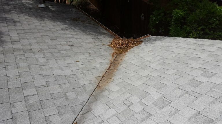 Professional gutter cleaning near me