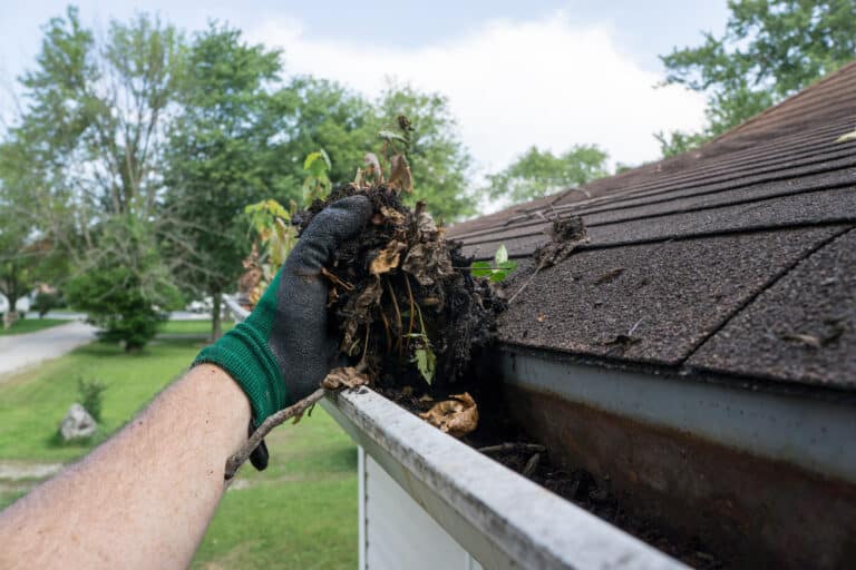 Professional gutter cleaning near me